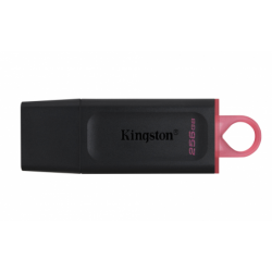 USB 3.2 KINGSTON 256 GB...